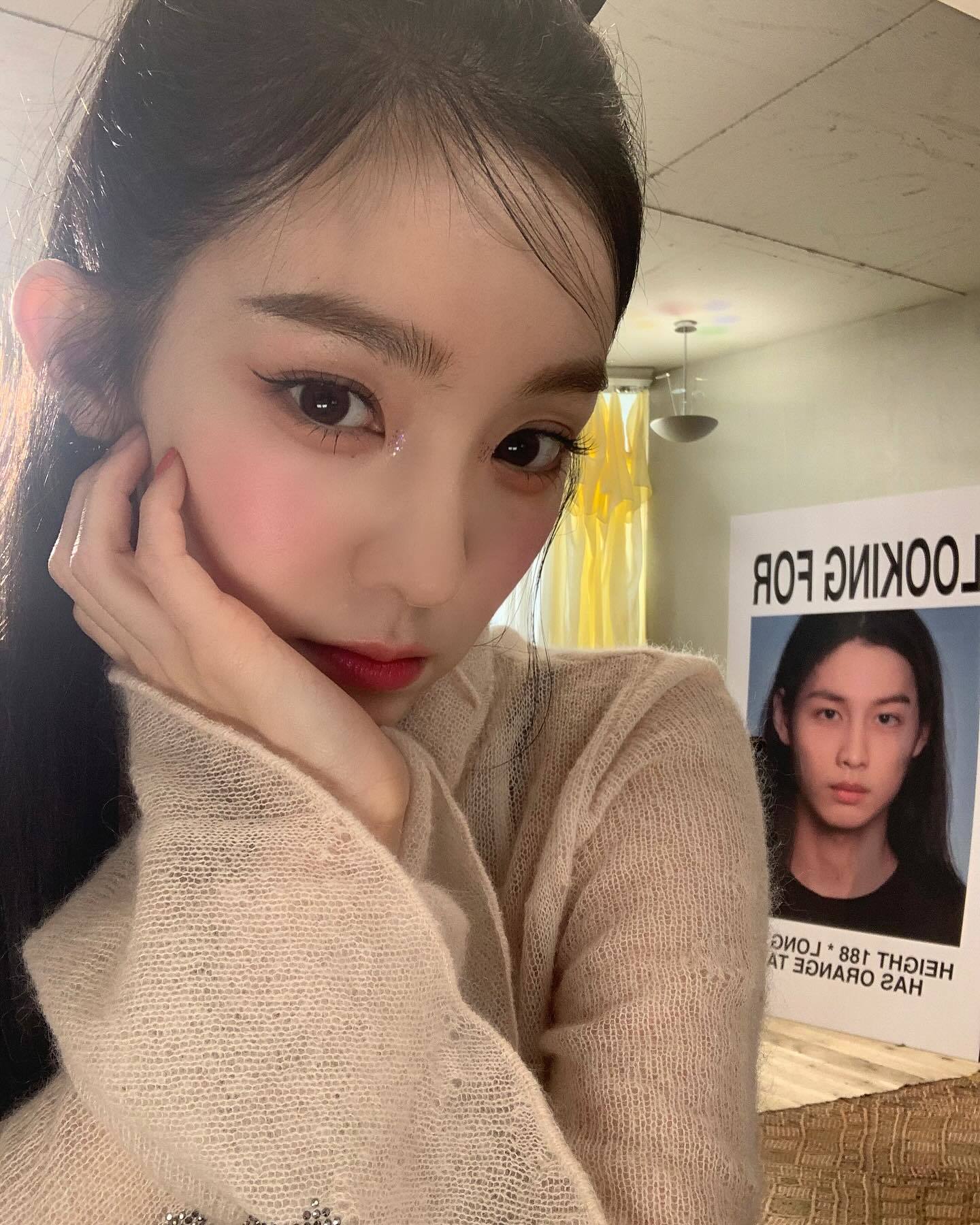 아이린 소셜 캡처