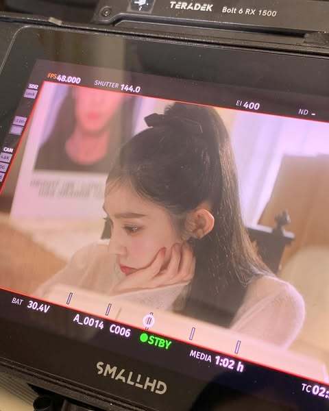 아이린 소셜 캡처