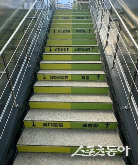 광명시(시장 박승원)는 시민들의 걷기 실천을 장려하고 건강한 생활환경을 조성하기 위해 지난 23일부터 24일 이틀간 철산역 2번·3번 출구에 ‘건강계단’을 새롭게 설치했다. 사진제공｜광명시