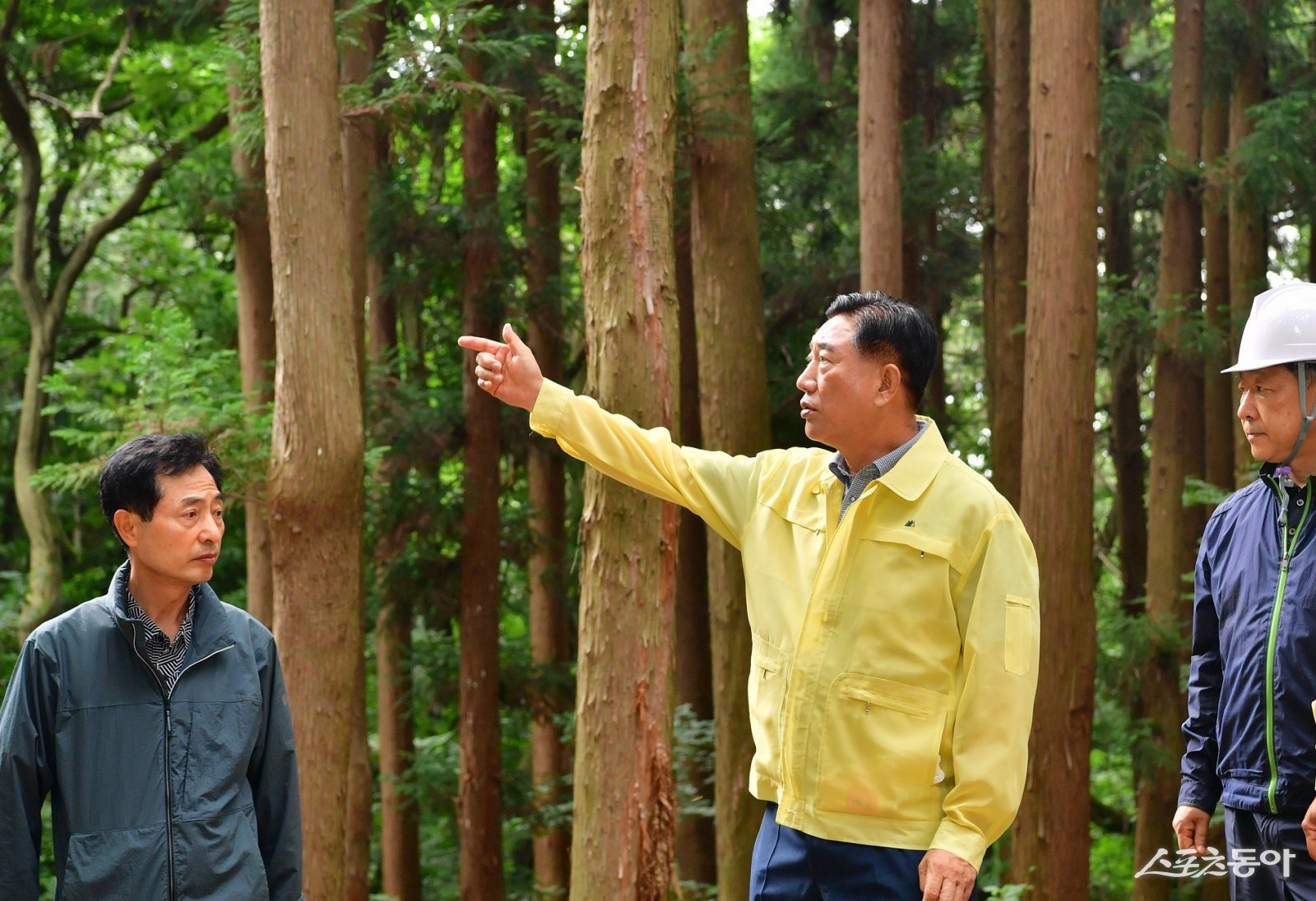 김한종 장성군수가 최근 축령산 편백숲 산림자원을 살펴보고 있는 모습. 사진제공=장성군
