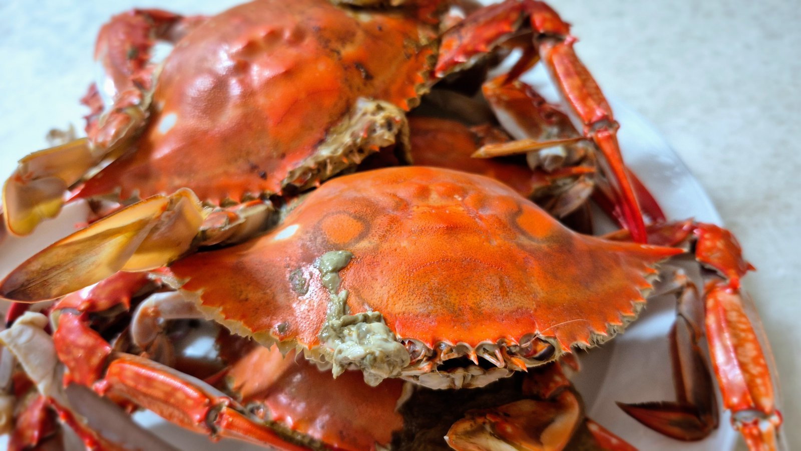 마트에서 구입해 집에서 직접 조리한 꽃게찜. 한 박스면 4인 가족이 맛있는 게찜을 실컷 먹을 수 있다. 양형모 기자