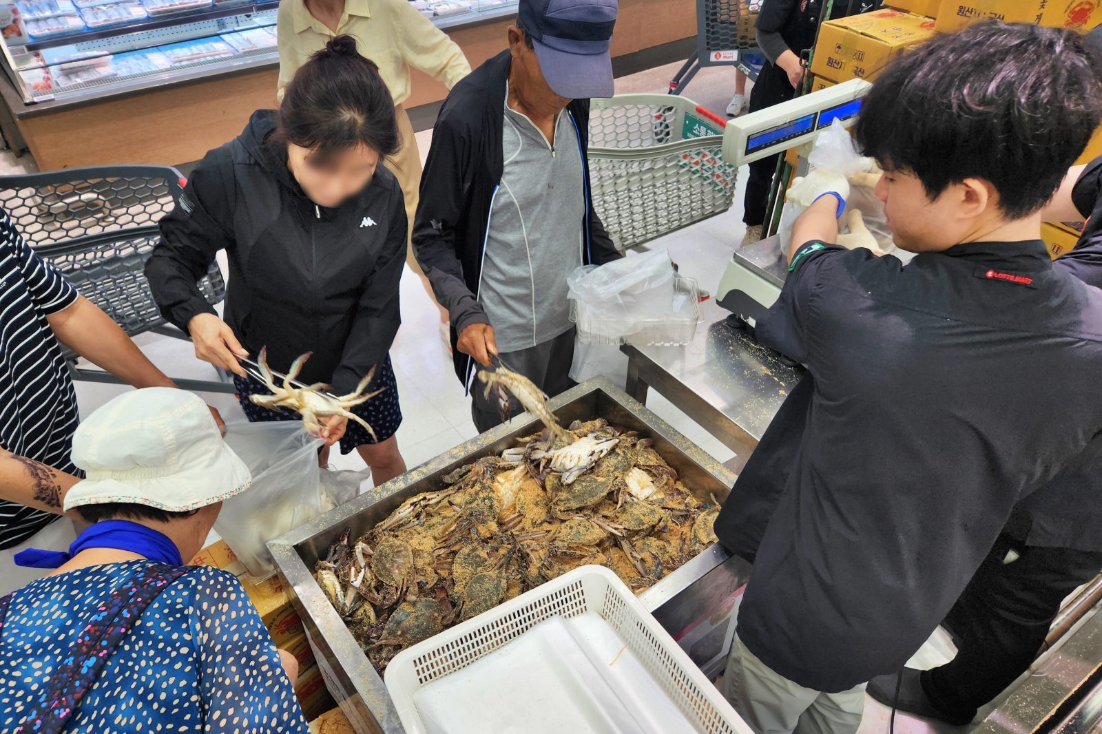 서울 은평구 롯데마트 그랑그로서리 은평점 수산 매장에서 고객들이 햇꽃게를 구매하고 있다. 사진제공 | 롯데마트