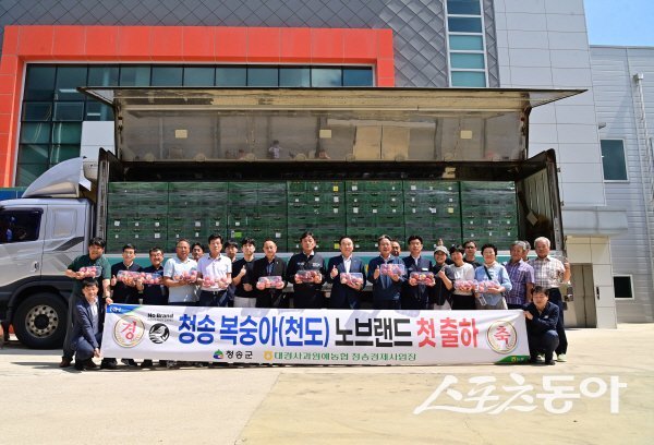 청송 복숭아가 노브랜드 전국 매장에 처음으로 출하되고 있다. 사진제공 ㅣ 청송군