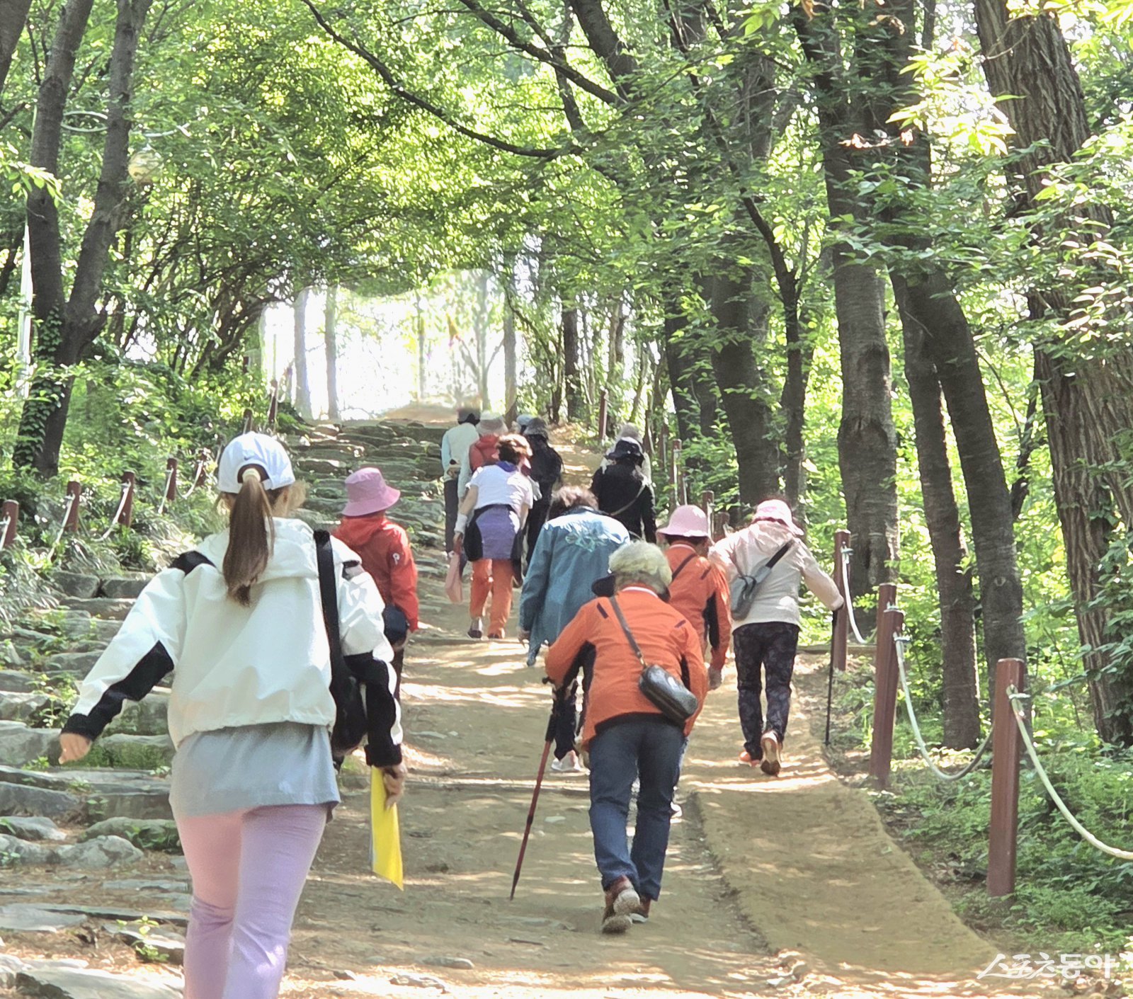 화성특례시 동부권 걷기 동아리에 참여한 시민들이 걷기 활동을 하고 있다. 사진제공|화성시