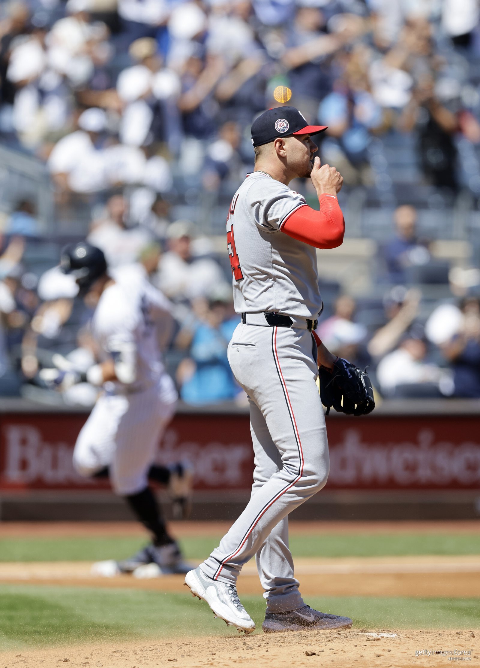 애런 저지. 사진=게티이미지코리아