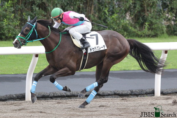 두라에레데. 사진제공 | JBIS