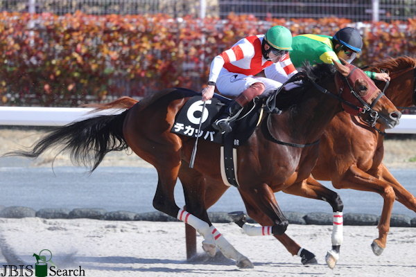 치카파. 사진제공 | JBIS