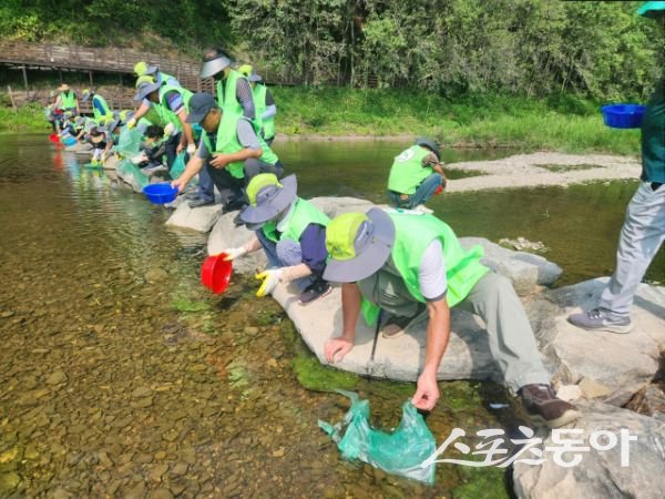 의성군이 28일 의성읍 남대천수변공원에서 지역 환경단체 회원들과 함께 붕어, 메기 등 토속 어종 치어 4천마리를 방류하고 있는 모습. 사진제공ㅣ의성군