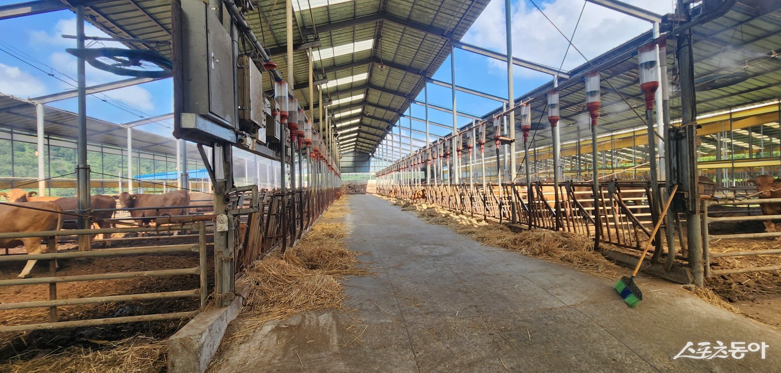 저탄소 축산물 인증 농장. 사진제공=전남도