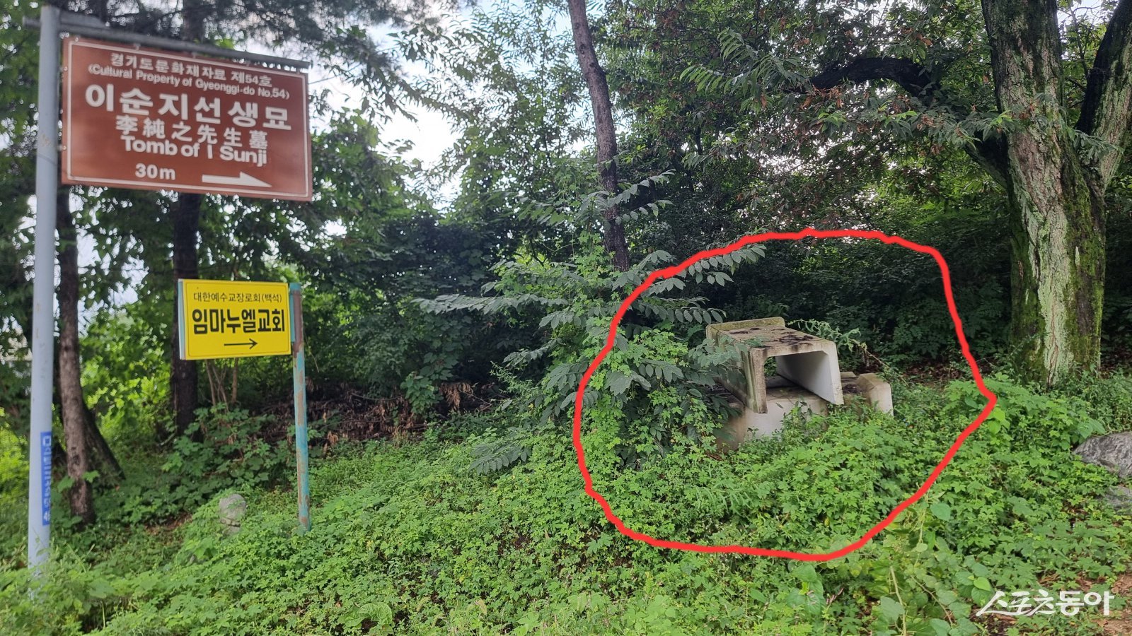 ‘이순지 선생 묘’ 진입로 간판 옆에 수년간 방치된 폐 콘크리트 배수관의 흉한 모습.  사진ㅣ고성철 기자