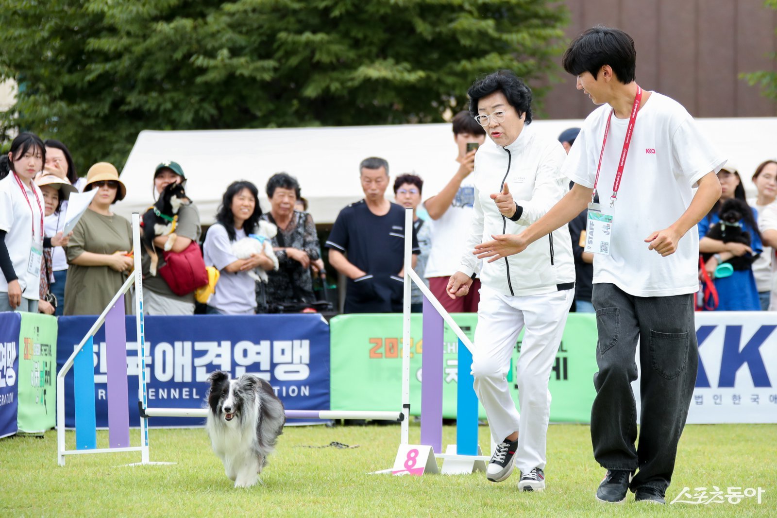 이천시(시장 김경희)는 제3회 이천펫축제가 오는 9월 13일부터 14일까지 이천도자예술마을(예스파크) 대공연장 일원에서 열린다고 밝혔다(지난 2024년 제2회 이천펫축제 행사 모습). 사진제공｜이천시