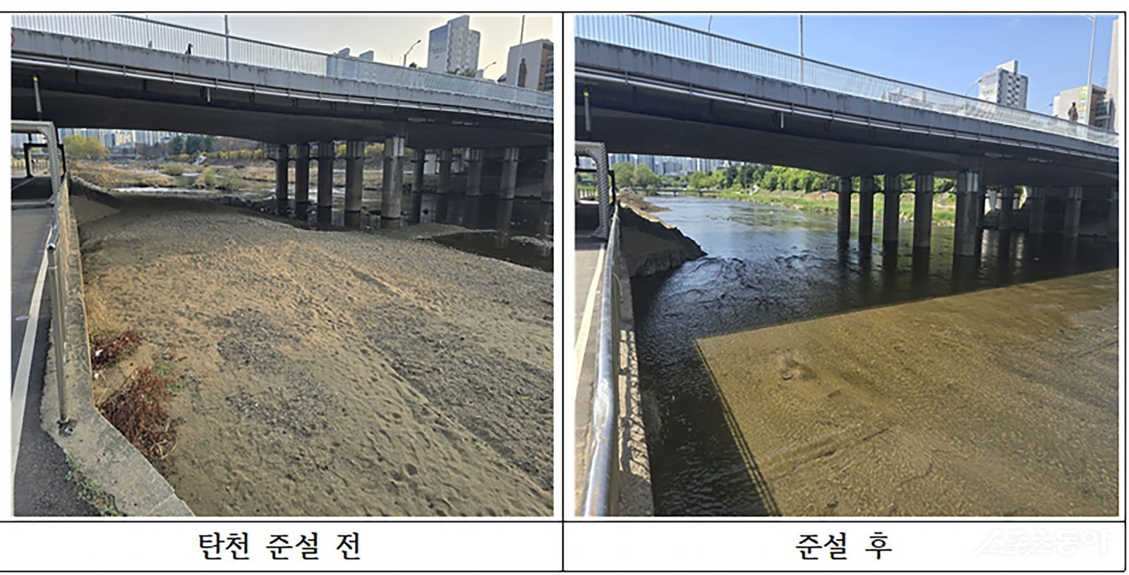 성남시 분당구 야탑동 지역 탄천 준설 전후 비교 모습. 사진제공ㅣ성남시 