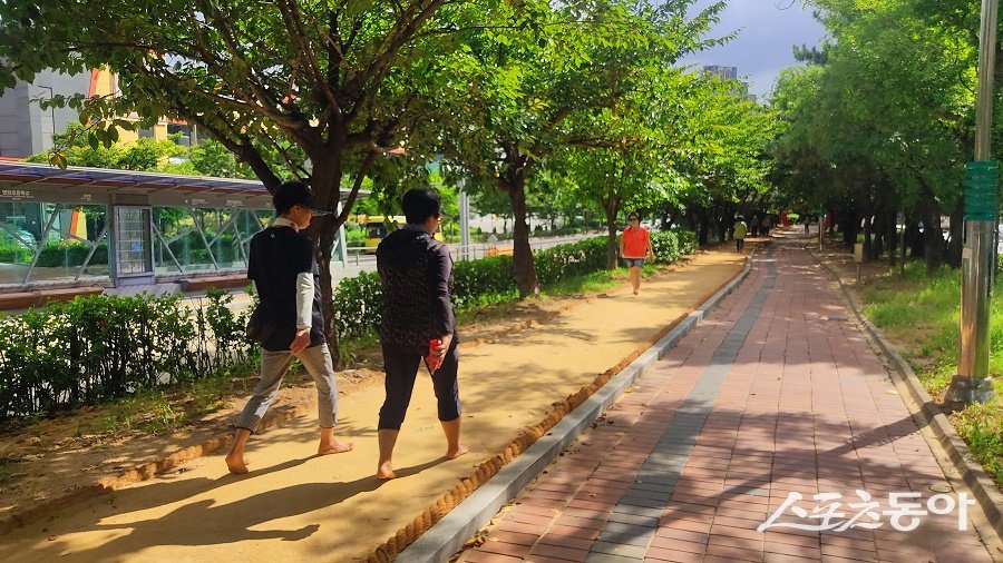 인천 계양구, 효성동 봉오대로 중앙녹지에 맨발걷기길를 조성했다. 사진제공|인천 계양구청