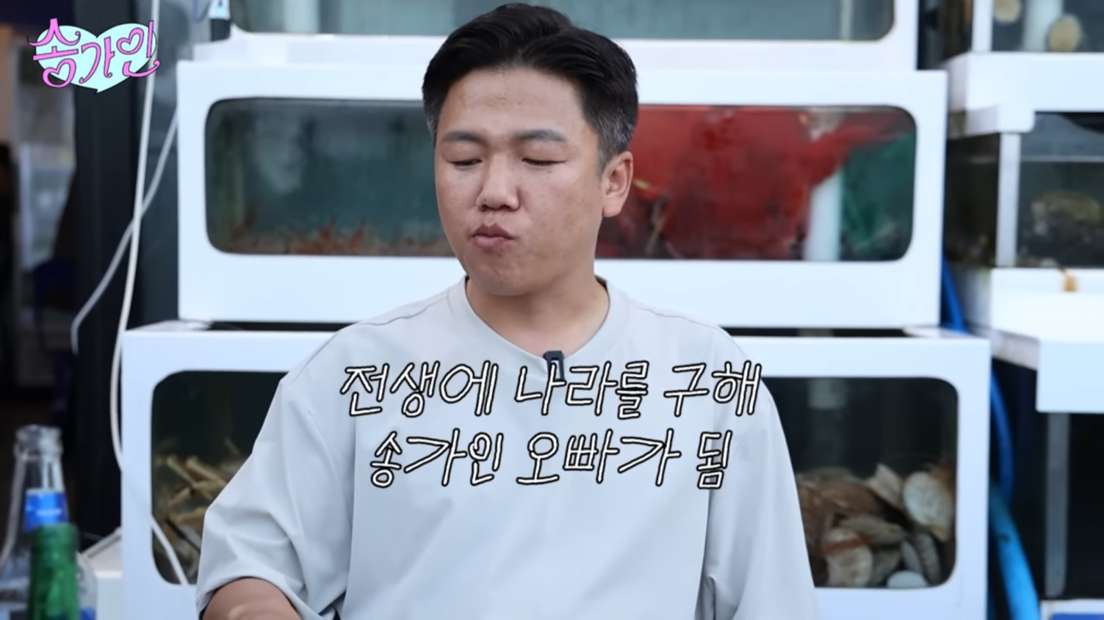 송가인 유튜브 채널 캡처