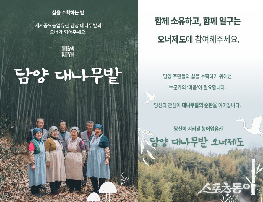 담양 대나무밭 크라우드 펀딩 이미지. 사진제공=담양군