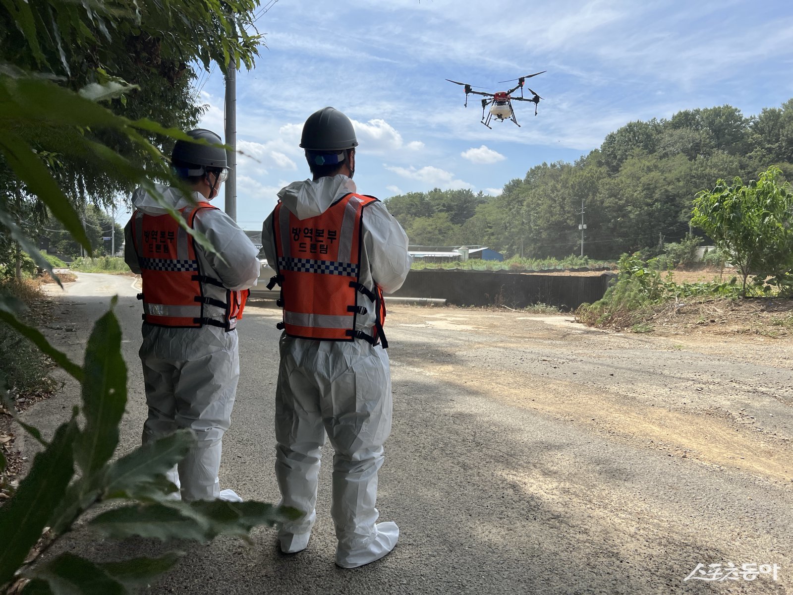 드론으로 멧돼지 기피제를 살포하고 있다. 사진제공ㅣ경산시