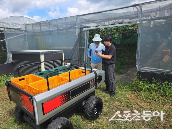 노지 농장에서 자율주행 운반로봇을 시험하고 있는 모습. 사진제공ㅣ상주시