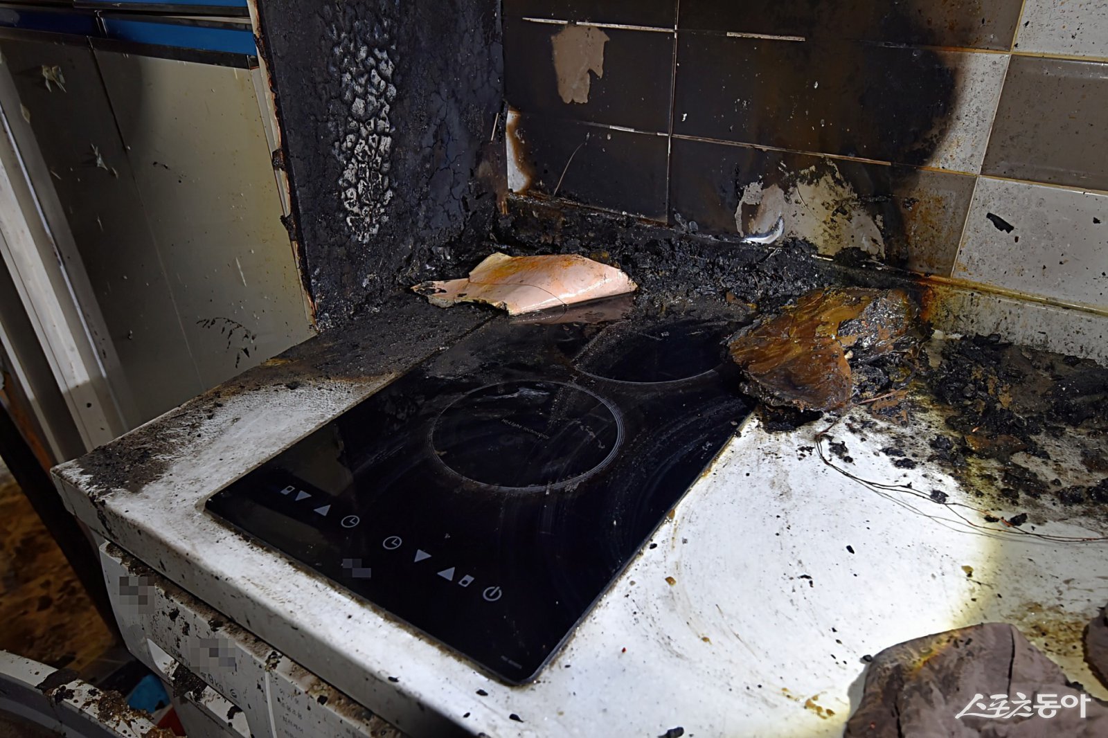 대전소방본부(본부장 김문용)는 최근 대덕구 비래동 한 주택에서 반려동물로 인한 화재가 발생함에 따라 시민들의 각별한 주의를 당부했다(반려동물 화재(2025년 1월)). 사진제공|대전시