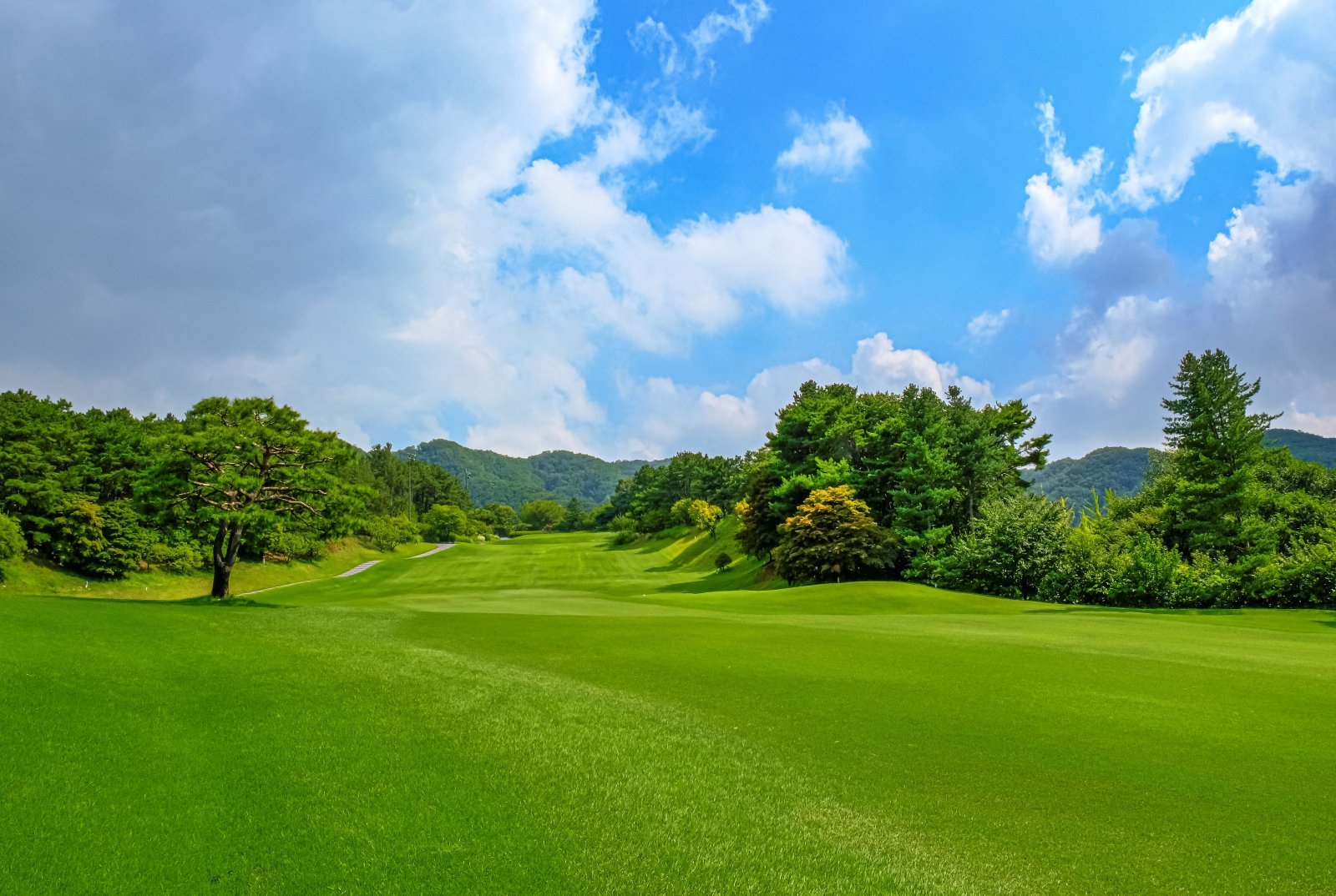 ‘더 시에나 서울 컨트리클럽’ 전경. 사진제공ㅣ더 시에나 그룹