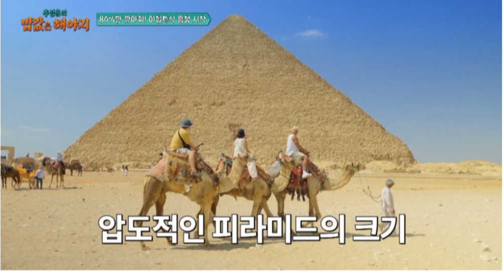 사진제공ㅣENA·EBS