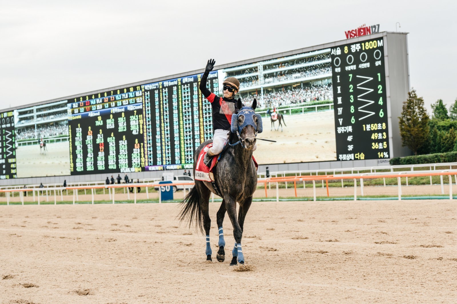 코리아컵 정상에 오른 ‘딕테이언’과 야노 기수. 사진제공 | 한국마사회