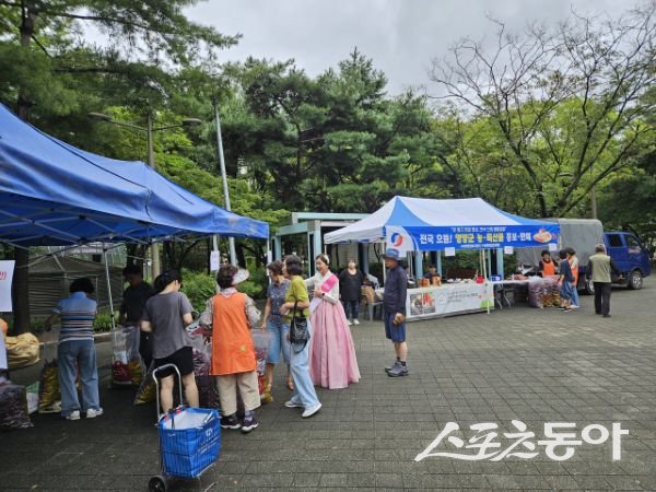영양군 수비면 행정복지센터가 10일 개최한 농특산물 홍보 및 직거래 행사에서 사람들이 물건을 구매하고 있는 모습. 사진제공ㅣ영양군