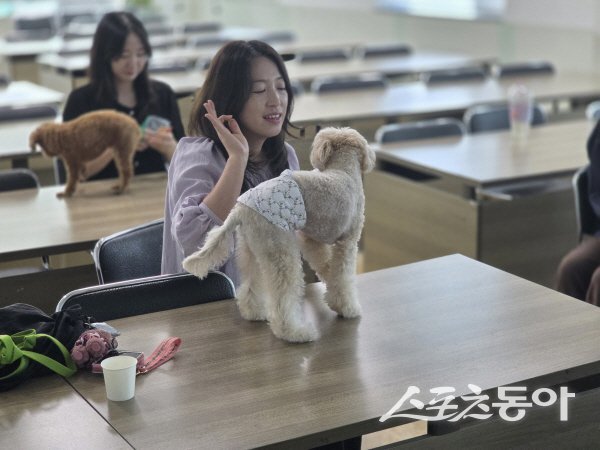 영덕군가족센터가 진행한 반려견 키우는 가정 대상 ‘오래오래 건강하개’ 프로그램 모습. 사진제공 ㅣ 영덕군