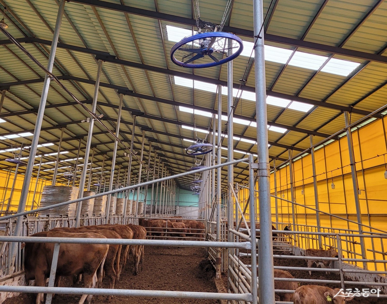 전남 지역 축사 현장. 사진제공=전남도