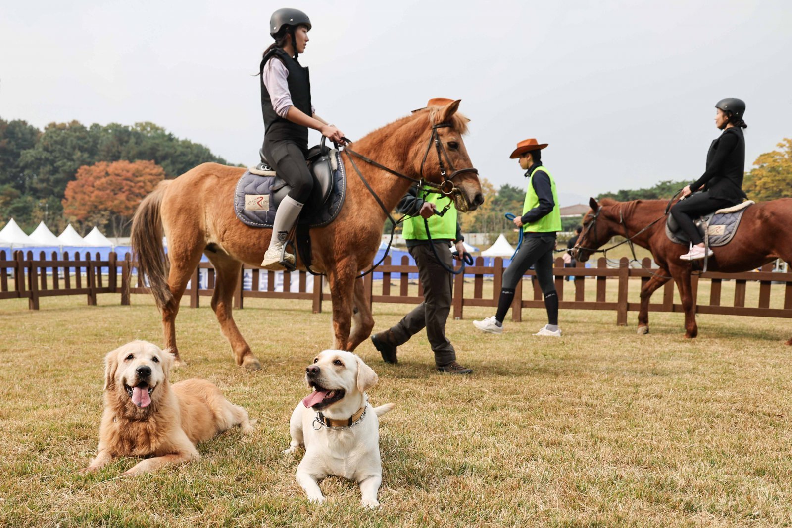 펫페어와 함께하는 도심승마체험 모습. 사진제공 | 한국마사회