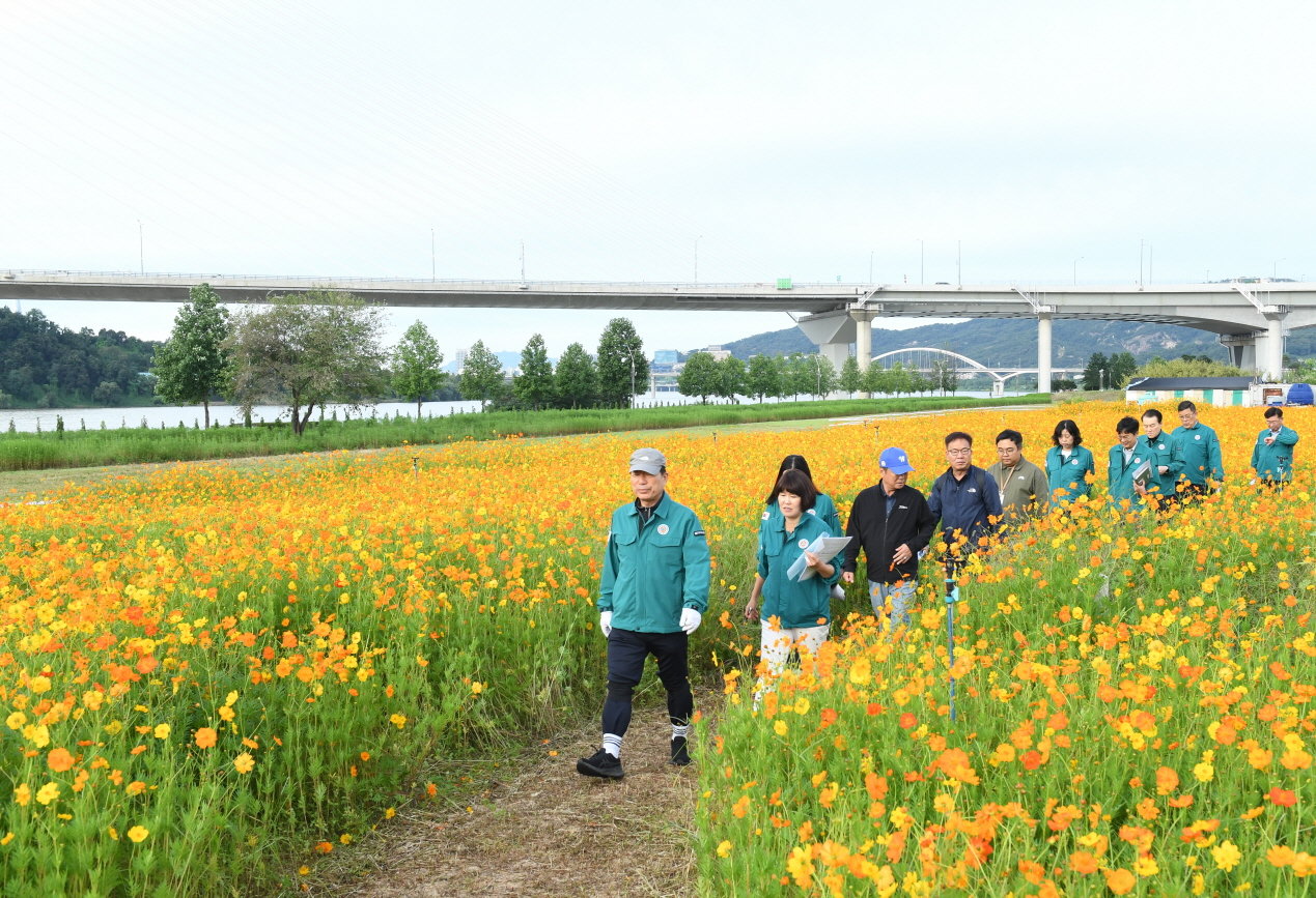 백경현 시장(맨앞)이 오는 26일 개막하는 ‘2025 구리 코스모스 축제’를 앞두고 행사장인 구리한강시민공원에서 사전 현장 점검하고 있다. 사진제공ㅣ구리시 