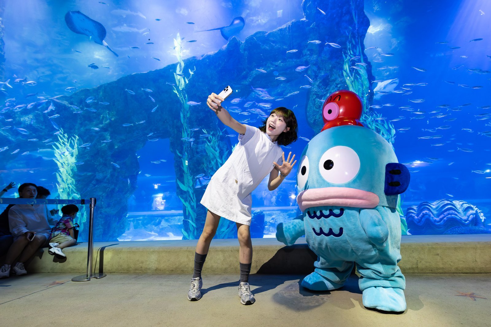 아쿠아리움 한교동 라이브캐릭터 그리팅