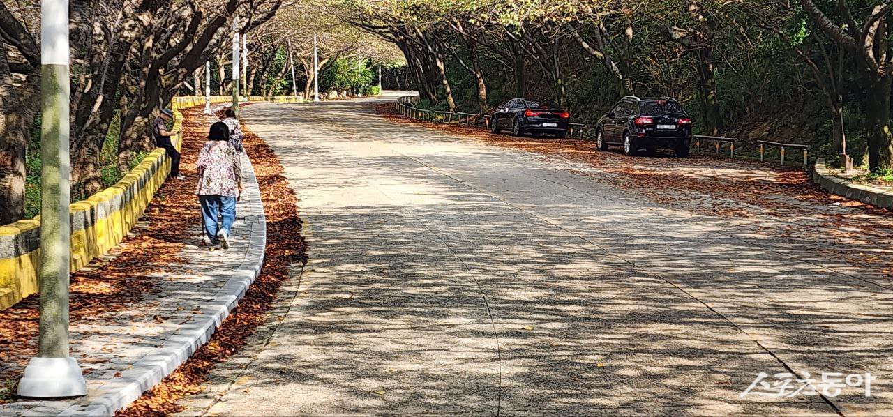 나이든 어르신들이 낙엽과 쓰레기가 가득한 등산로를 걷고 있다.