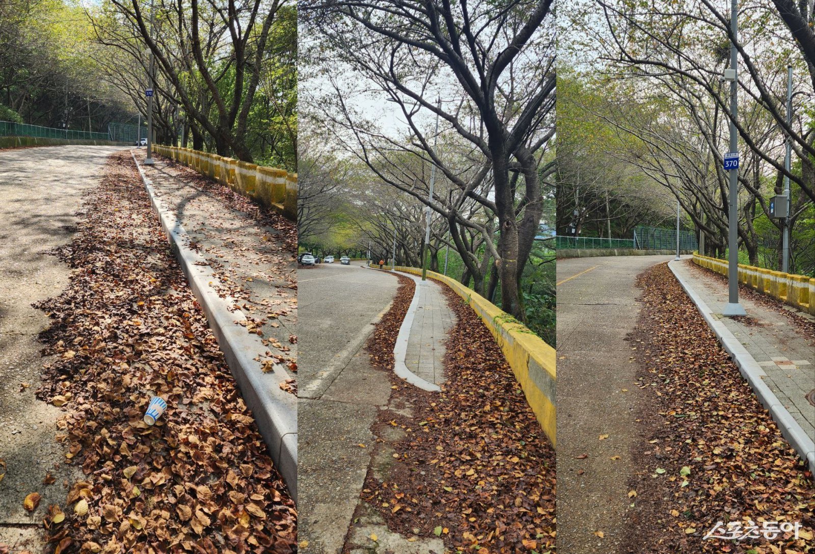 황령산로 334~626번길 구간에 낙엽과 쓰레기가 가득한 모습.