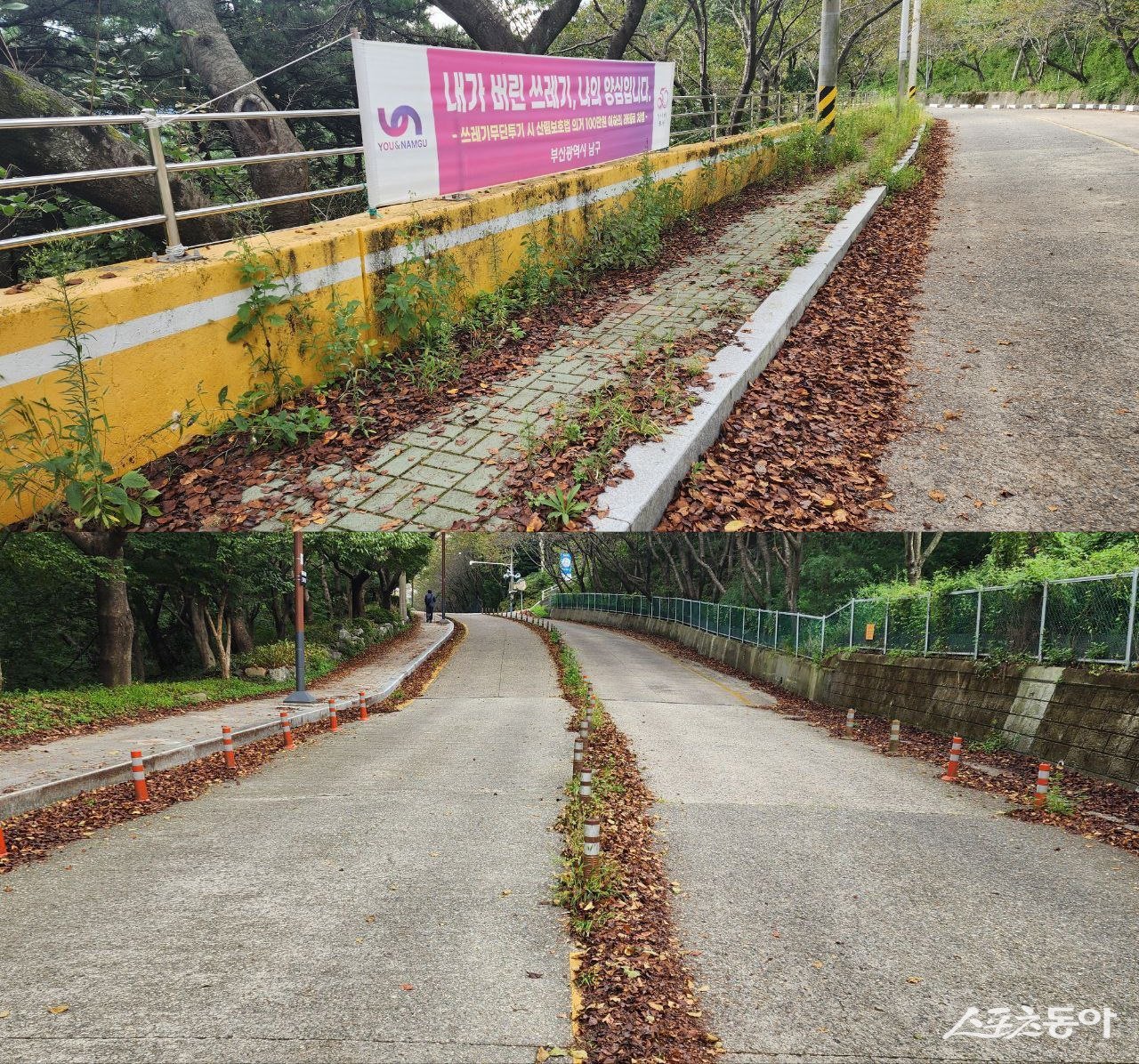 인도와 도로에 풀이 나 있고 낙엽과 쓰레기도 널브러져 있는 모습(위쪽 사진 남구 관리길, 아래 사진, 연제구 관리길),