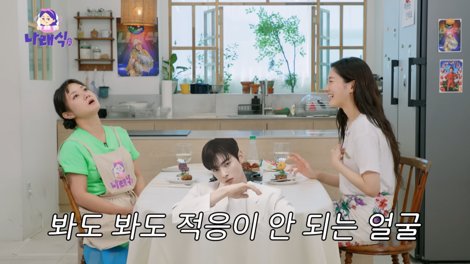 유튜브 채널 ‘나래식’ 캡처