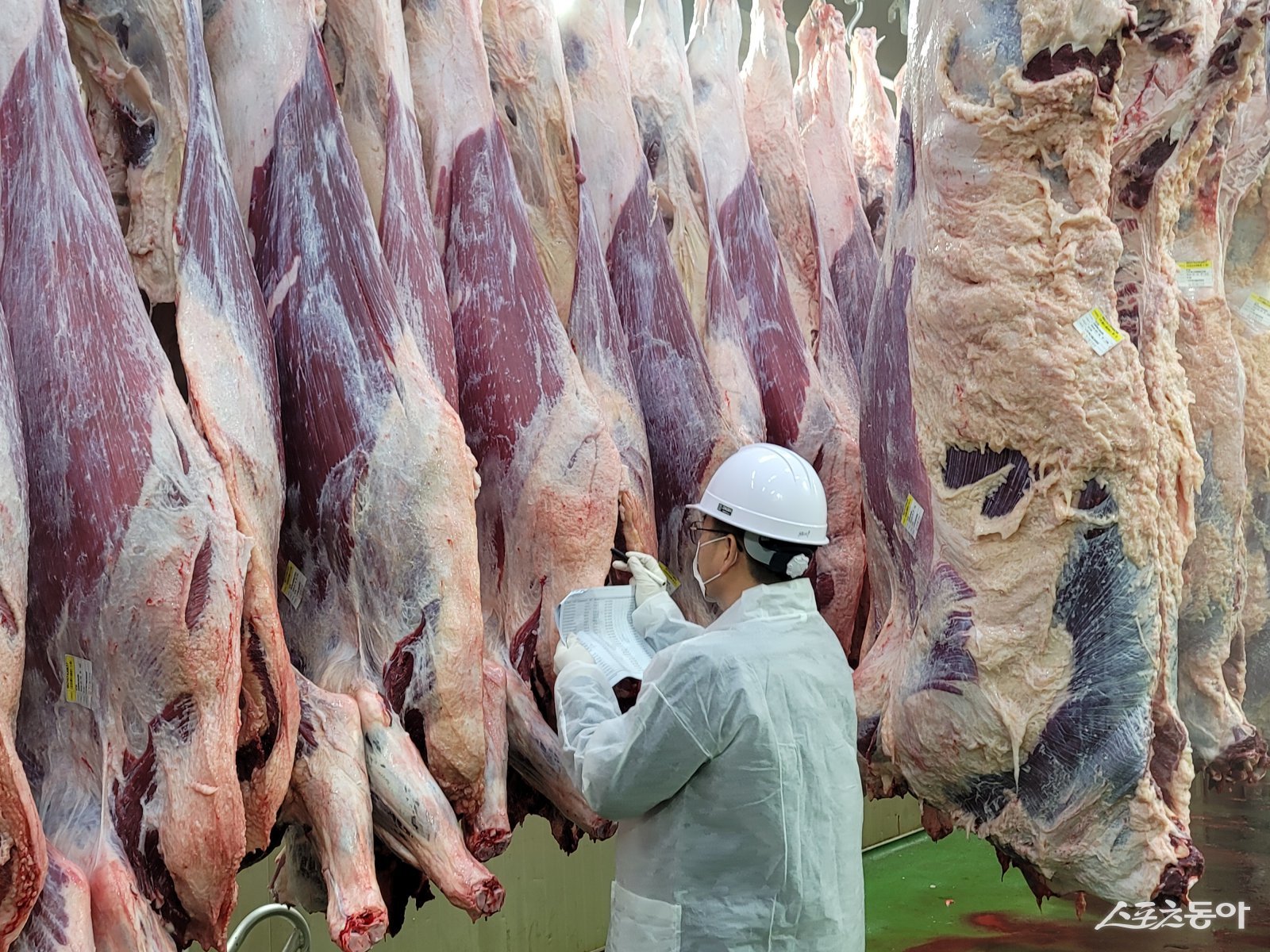 도축 검사 현장. 사진제공=전남도