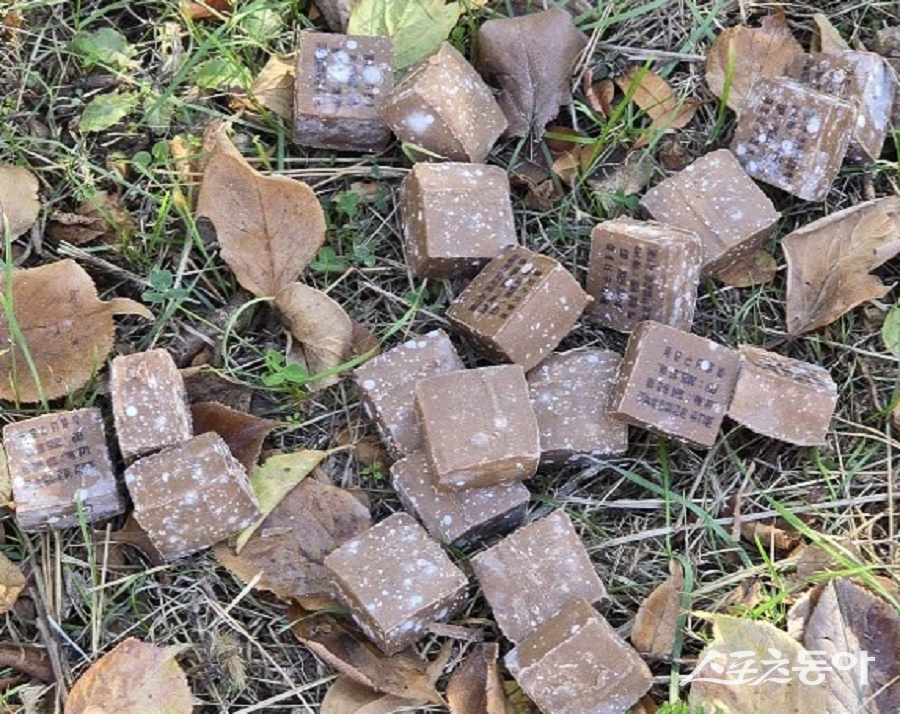 인천 부평구, 굴포천~신트리공원 일대 광견병 예방 위한 백신 미끼예방약 살포한다. 사진제공|인천 부평구청