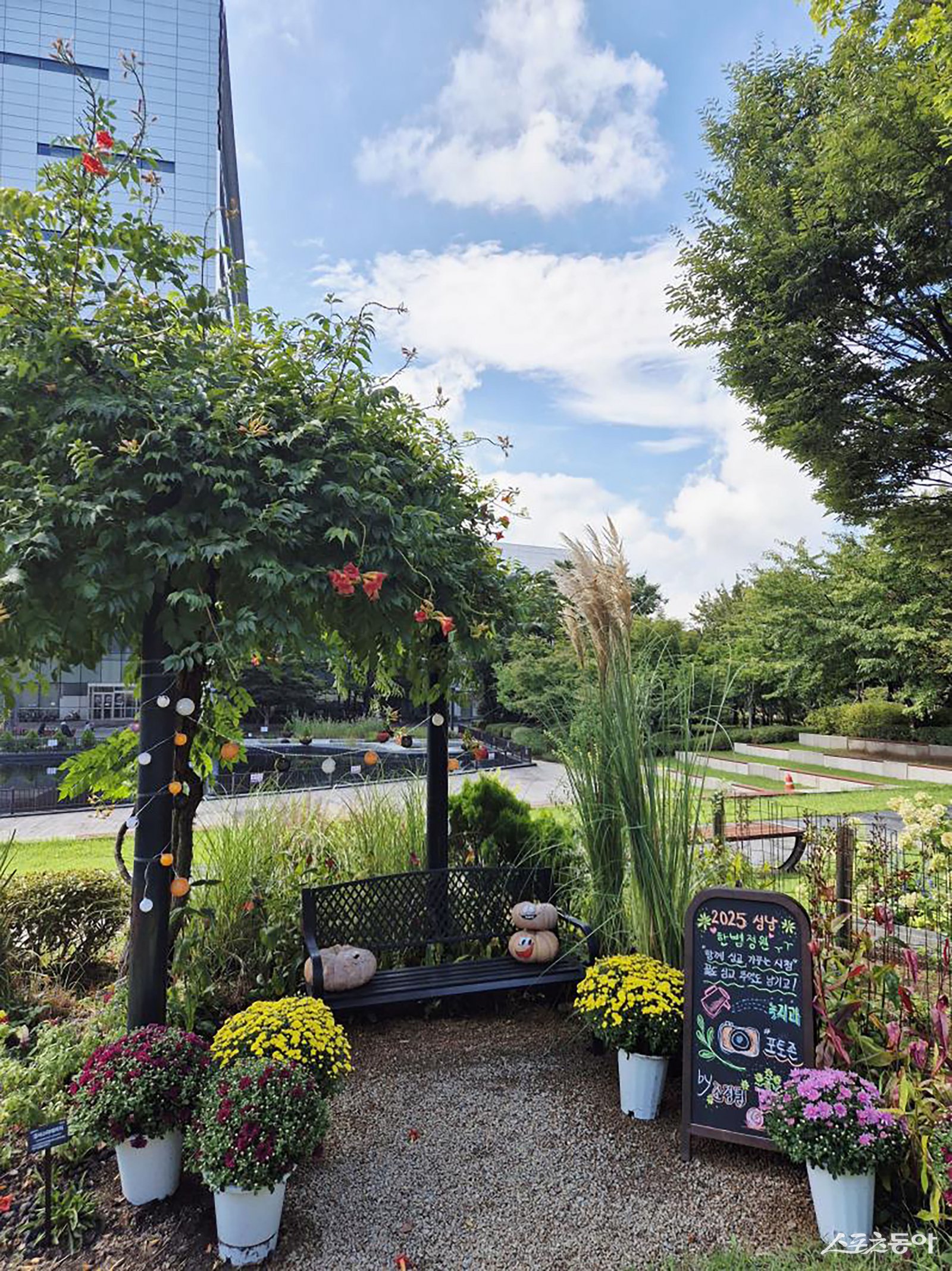 성남시청 정원 포토존. 사진제공ㅣ성남시