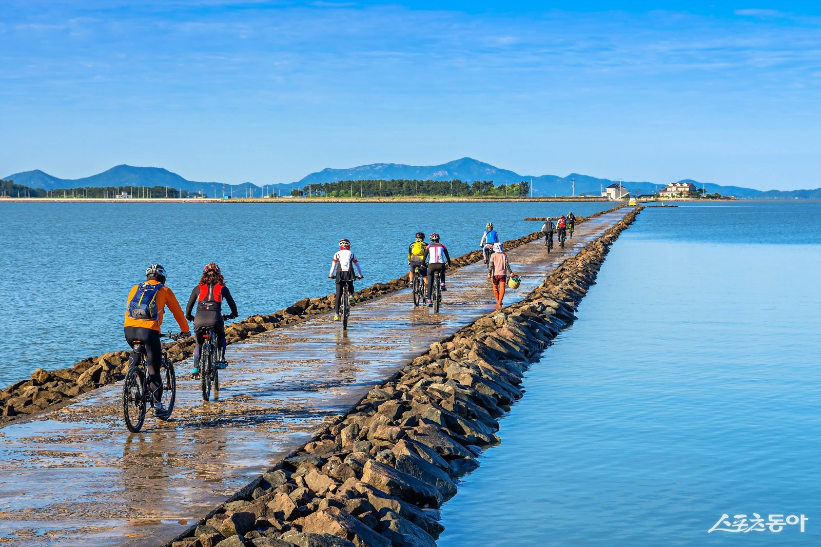 전남 관광-신안 화도가는 길. 사진제공=전남도