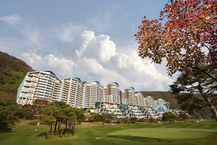 소노펠리체 비발디파크 가을