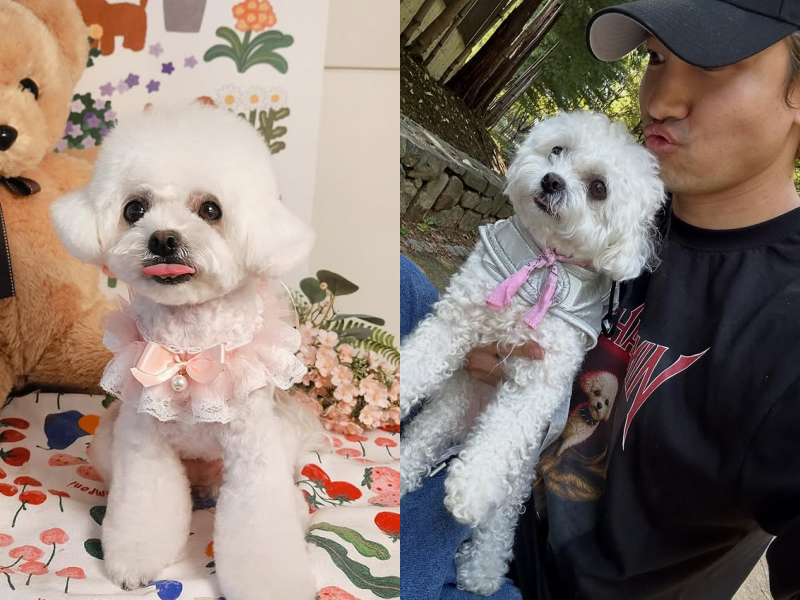 최강창민 소셜 캡처