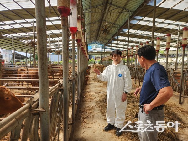 예천군이 집중적인 현장 컨설팅으로 한우농가 경쟁력 강화에 뚜렷한 성과를 거두고 있다. 사진제공 ㅣ 예천군
