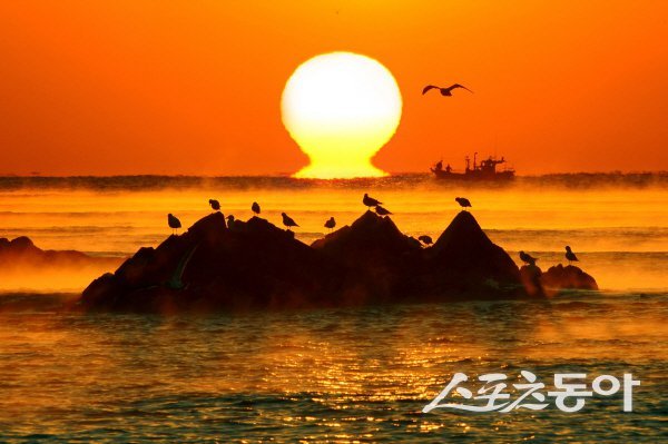 경주 문무대왕릉의 일출. 사진제공 ㅣ 경주시