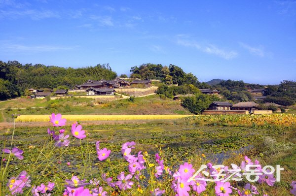 경주 양동마을의 가을 풍경. 사진제공 ㅣ 경주시