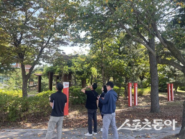 경상북도가 2025 APEC 정상회의를 앞두고 가로수 및 가로경관 관리 실태를 점검하고 있다. 사진제공 ㅣ 경북도