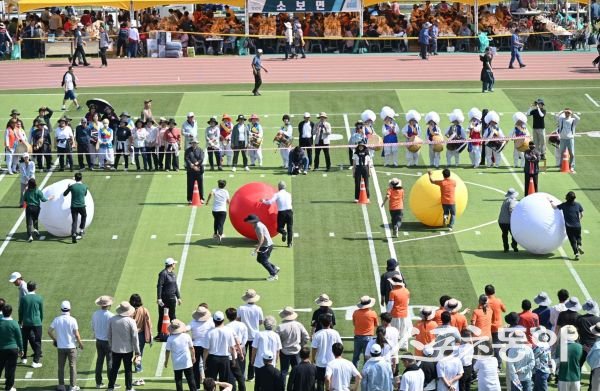 대구 군위군에서 개최된 제49회 군민 체육대회에서 선수들이 경합하고 있는 모습. 사진제공ㅣ군위군