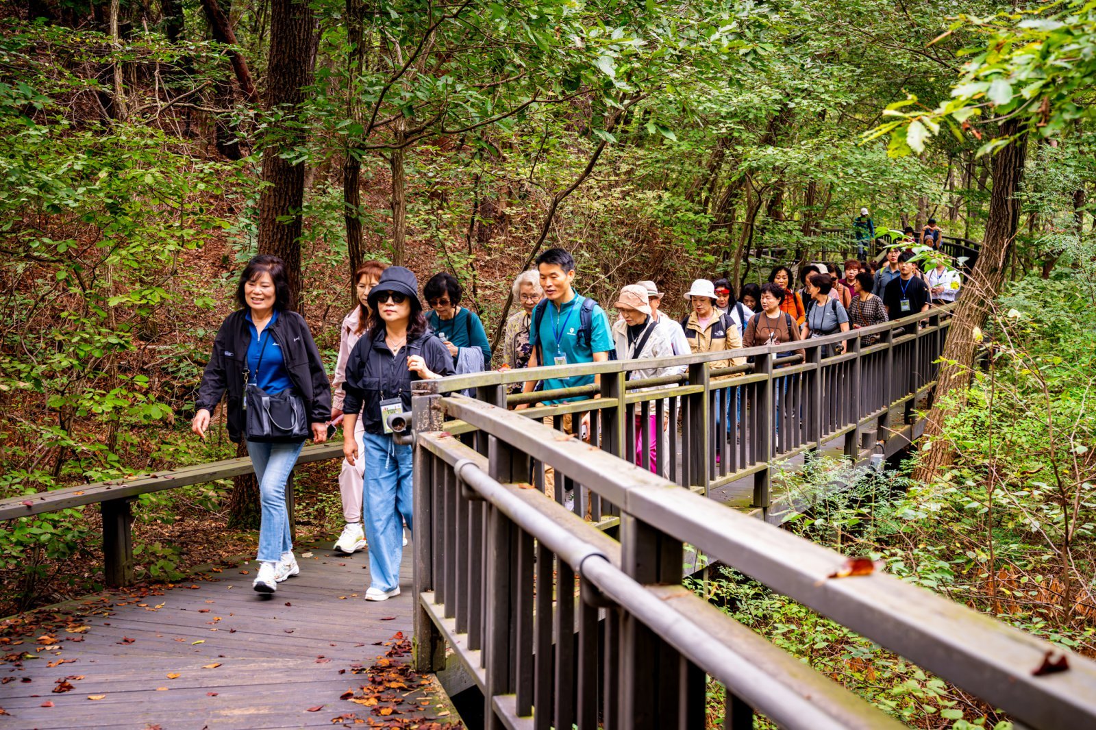 참가자들이 인솔자를 따라 관악산 무장애 숲길을 걷고 있다