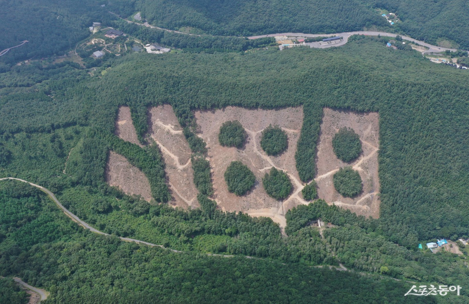 충남도 산림자원연구소 보령사무소가 산림청이 주관한 ‘2025년 친환경적 목재 수확 우수사례 평가’에서 최우수상을 수상했다(친환경 벌채 전경). 사진제공|충남도
