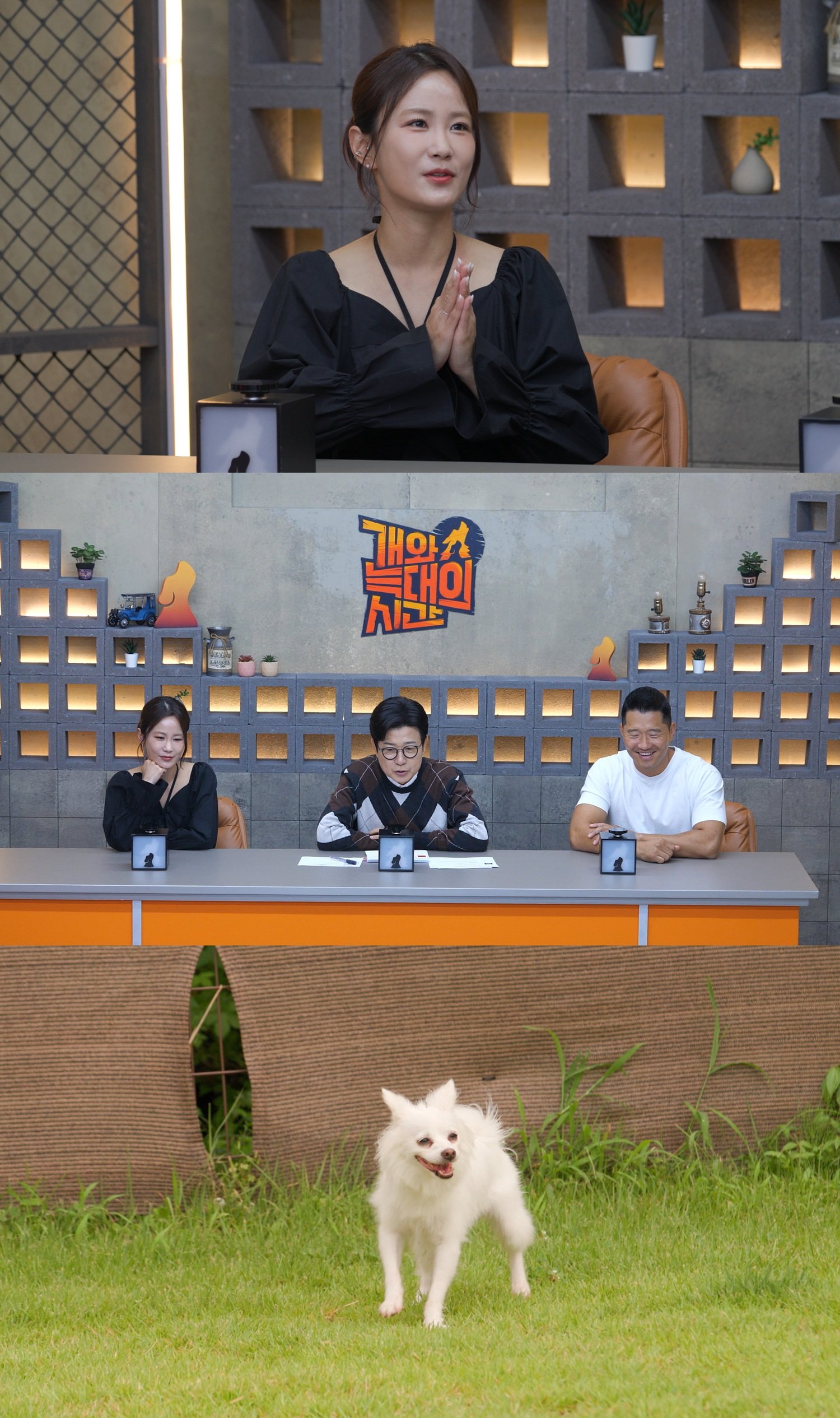 사진제공 | 채널A