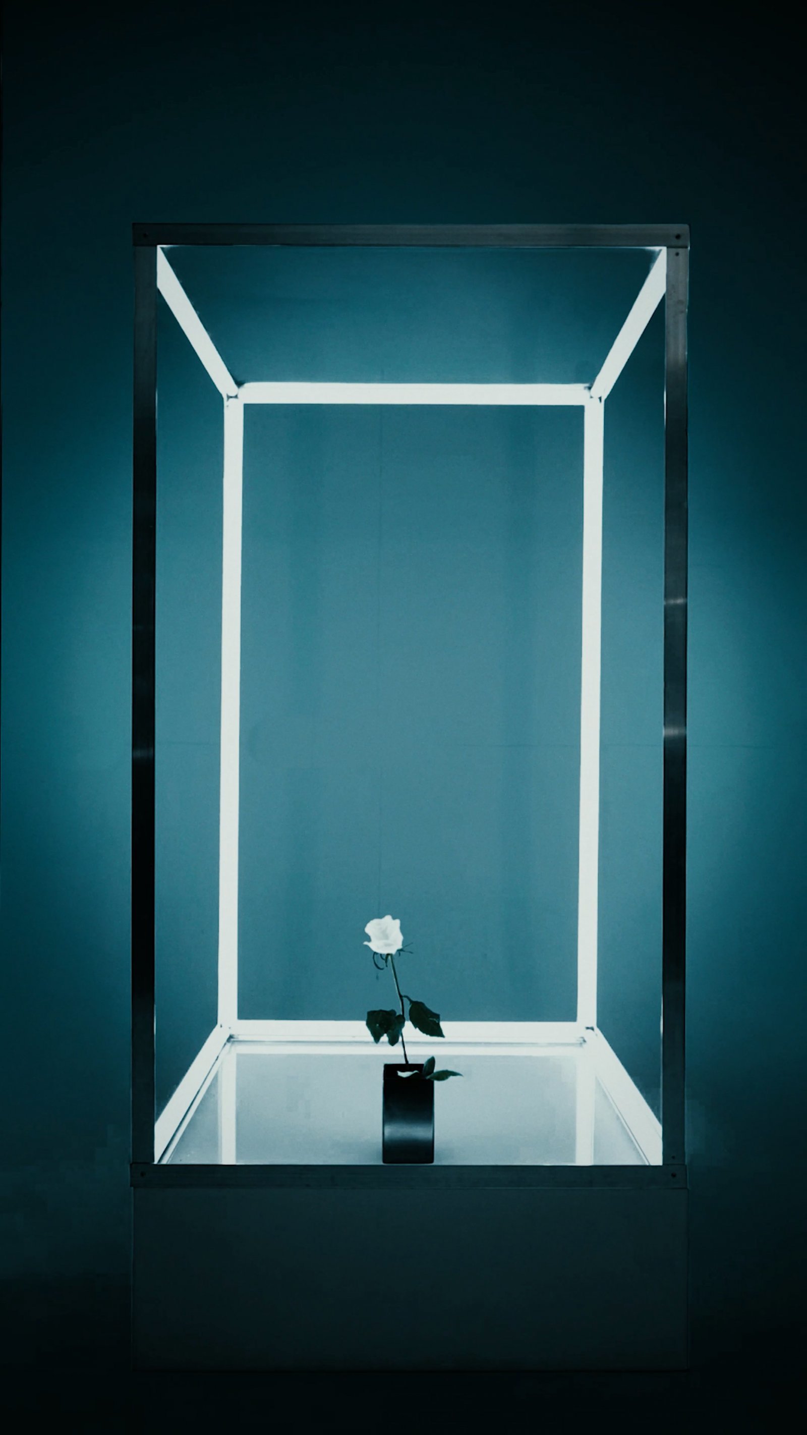 20251014_¿øÈ£ (2).jpg